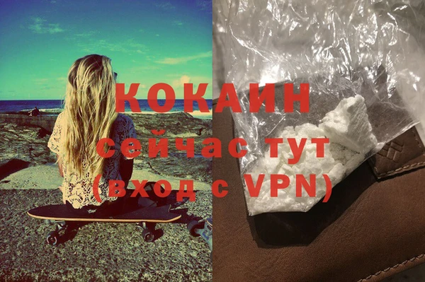 дживик Аркадак