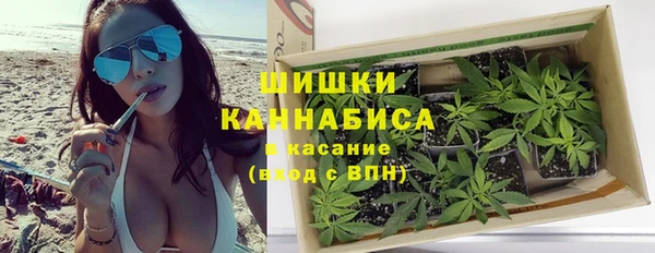 шишки Армянск