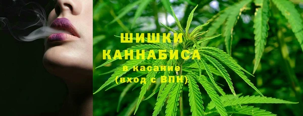 шишки Армянск