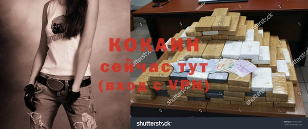 дживик Аркадак