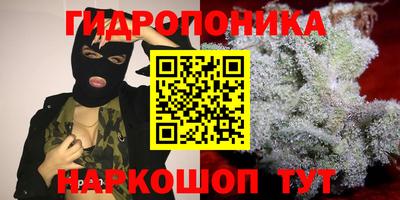 дживик Берёзовский