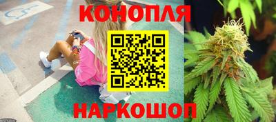Альфа ПВП Гатчина