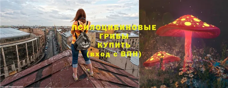 Галлюциногенные грибы Magic Shrooms  Дедовск 