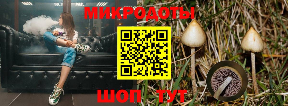 Псилоцибиновые грибы Magic Shrooms Дедовск